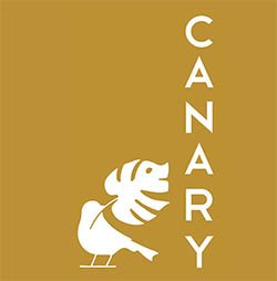 canary