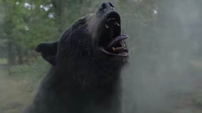 cocaine-bear