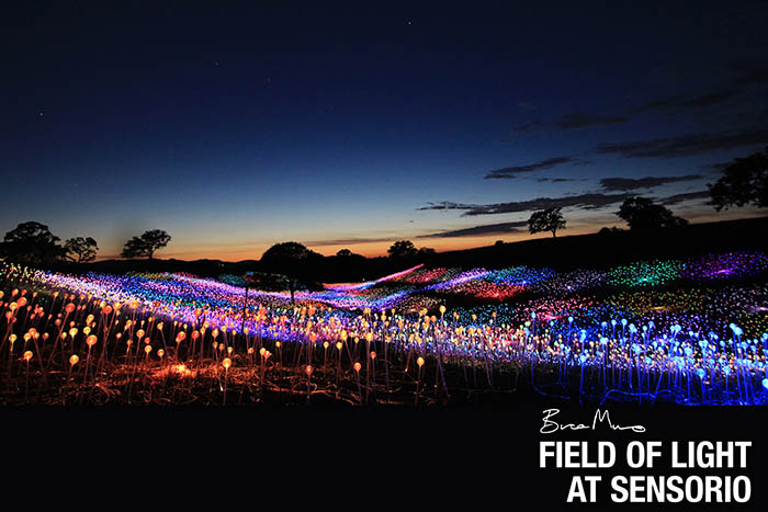 sensorio-paso-robles