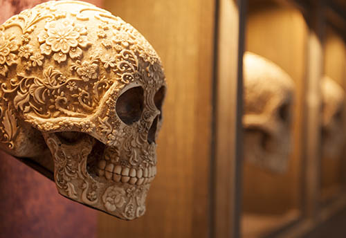 the-madera-group-toca-madera