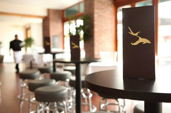 delfini-citta-dine-review