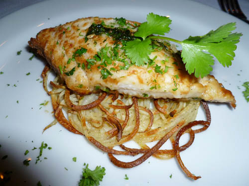 delfini-citta-dine-review