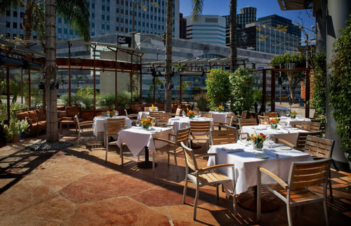 napa-valley-grille-westwood-dine-review