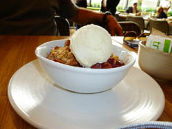 true-food-kitchen-dine-review