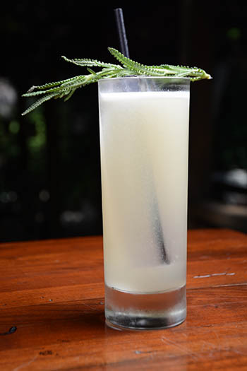 the-raymond-1886-summer