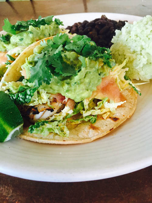 jackson-food-drink-dine-review