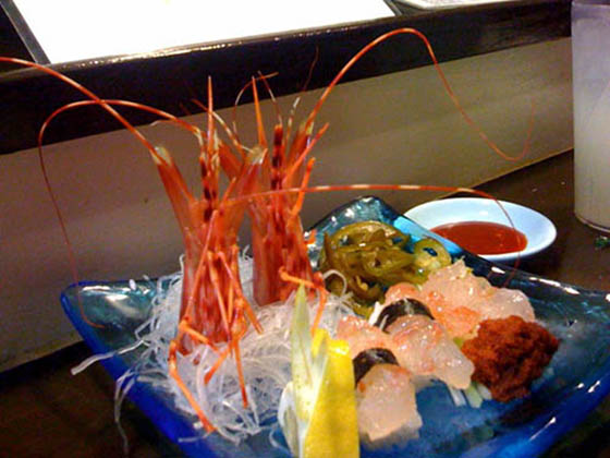 slow-fish-live-shrimp