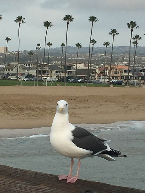 orange-county-get-to-know