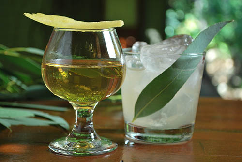 1886-bar-this-summer