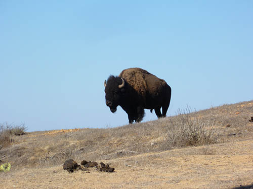 catalina-island-vacation-get-away