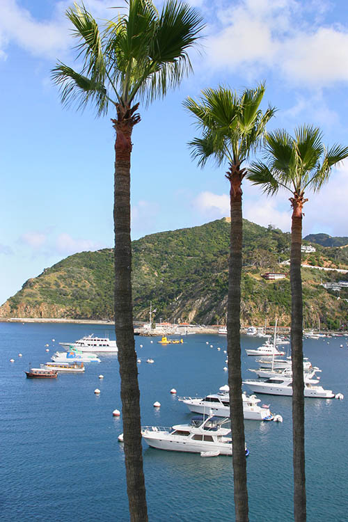 catalina-island-vacation-get-away