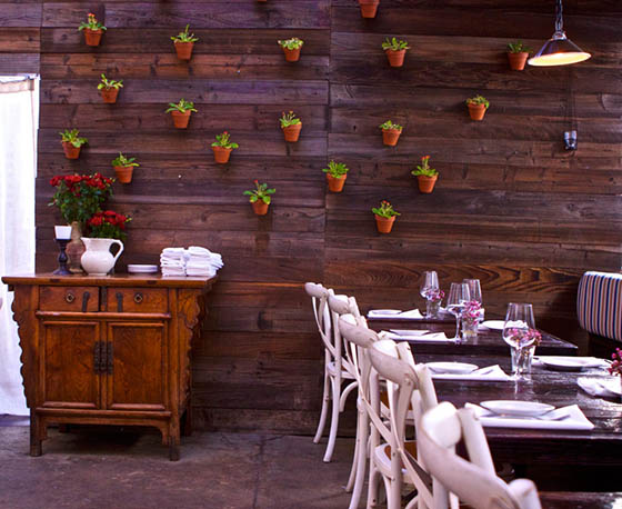 manchego-santa-monica-dine-review